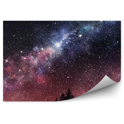 Öntapadós fotótapéta falra Tűlevelű fák égbolt csillagos ég Tejút