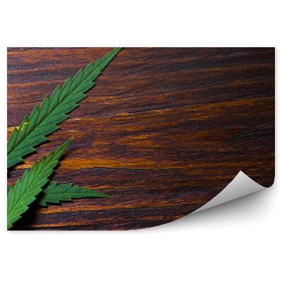 Fotótapéta Cannabis levelek a fa padlón