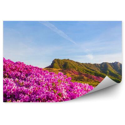 Poszter tapéta Hegyek és azálea bokrok