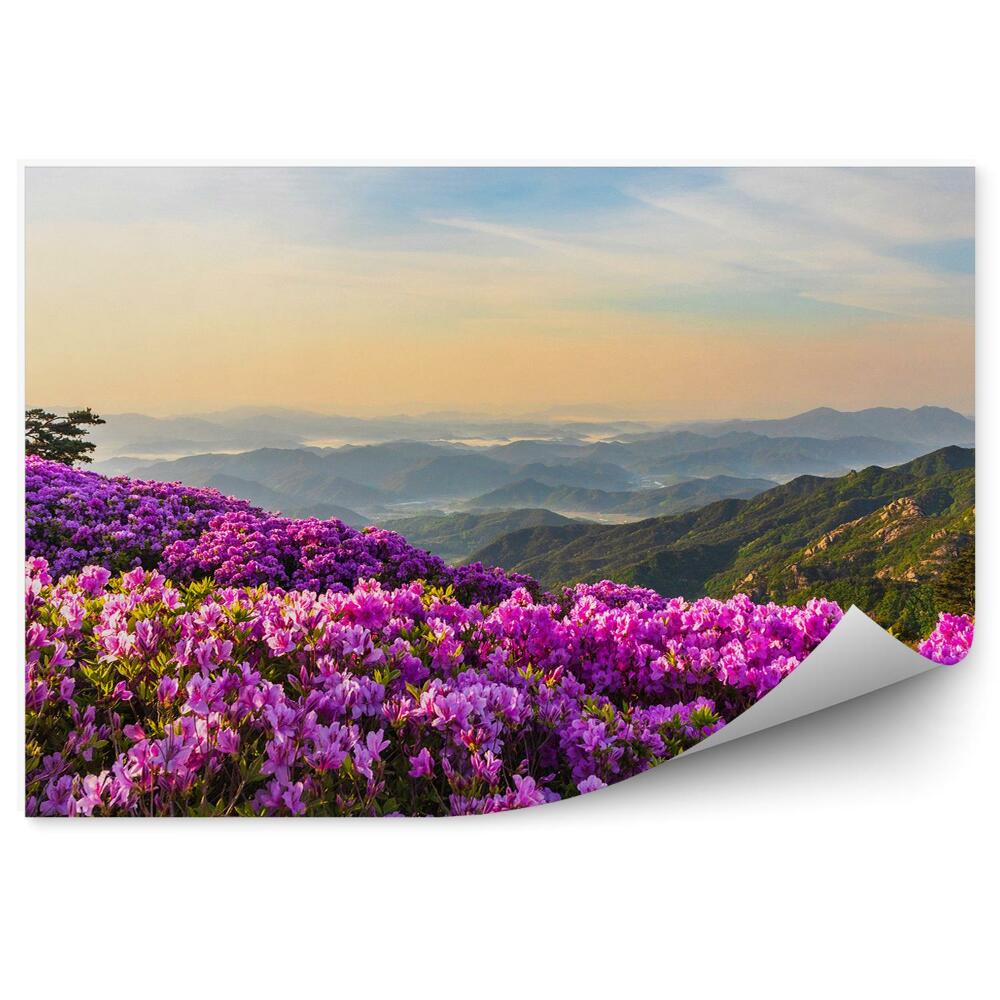 Fotótapéta Hegyi táj és a rododendronok