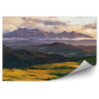 Fotótapéta Hegyek zöld mezők fák köd ég felhők szlovákia