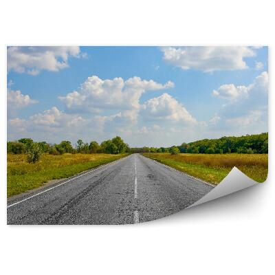 Kép tapéta Üres út fű természet