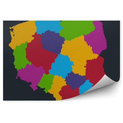 Fotótapéta A lengyel vajdaságok színes térképe