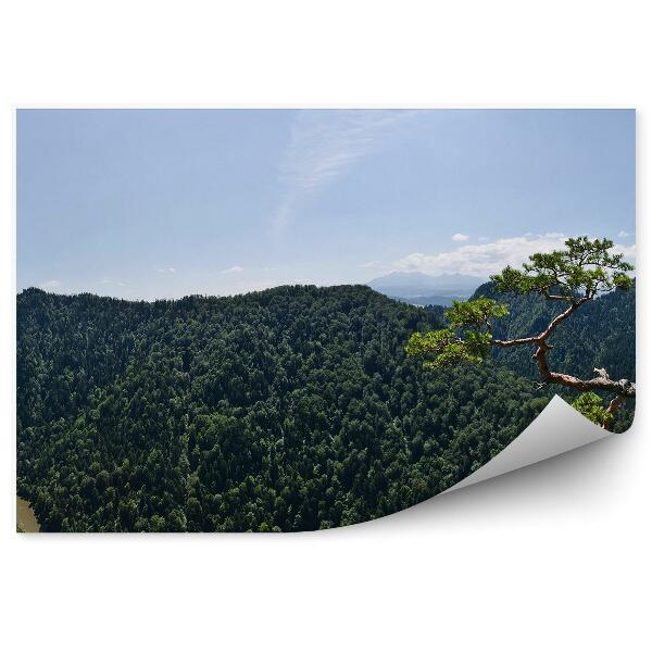 Öntapadós fotótapéta falra Sokolica Pieniny csúcs Sosna Dunajec panoráma