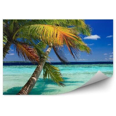 Öntapadós fotótapéta falra Pálmafák hullámok vízszigetek egzotikus