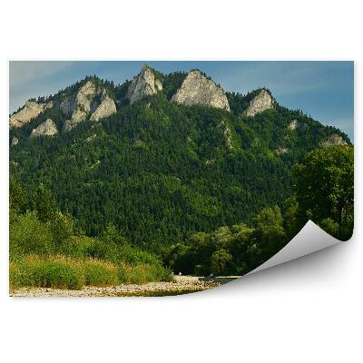 Öntapadó fotótapéta Panoráma kilátással a Pieniny-hegység három koronájára