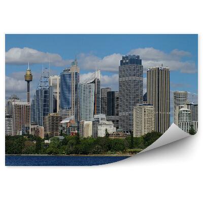 Poszter tapéta felhőkarcolók fák óceán ég felhők Sydney