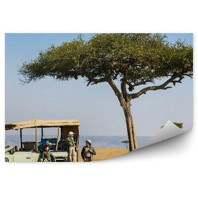 Kép tapéta A fa szafari család folytatódik