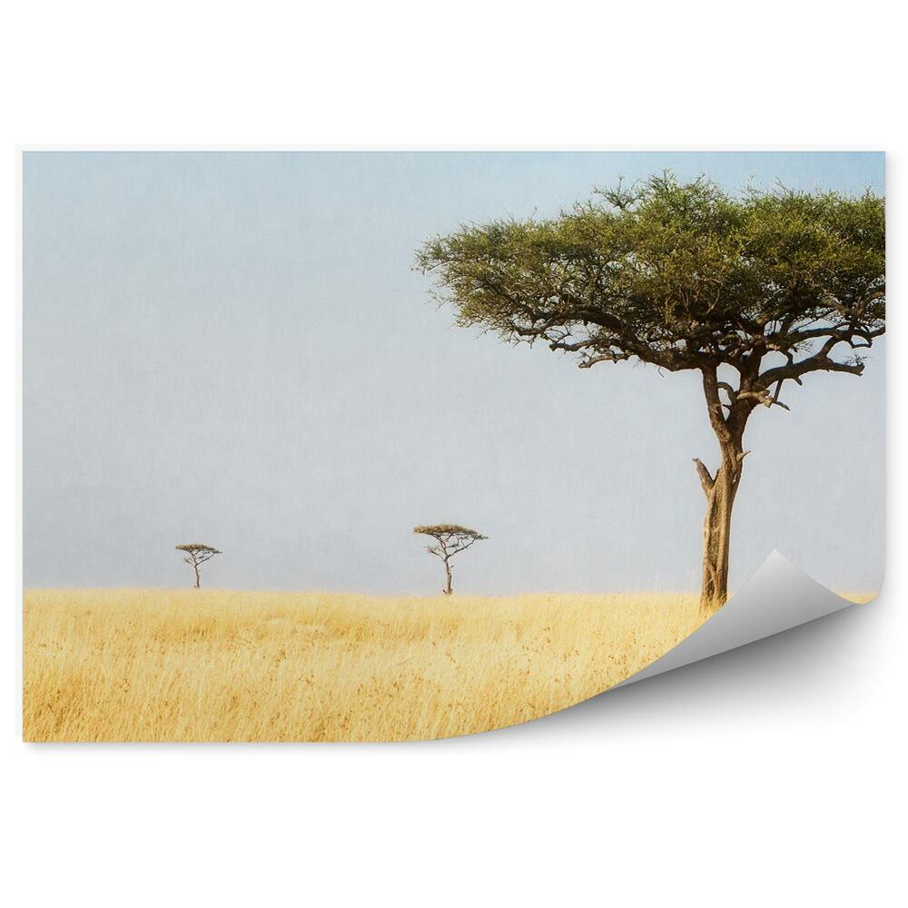 Modern fotótapéta Afrika természet fák táj