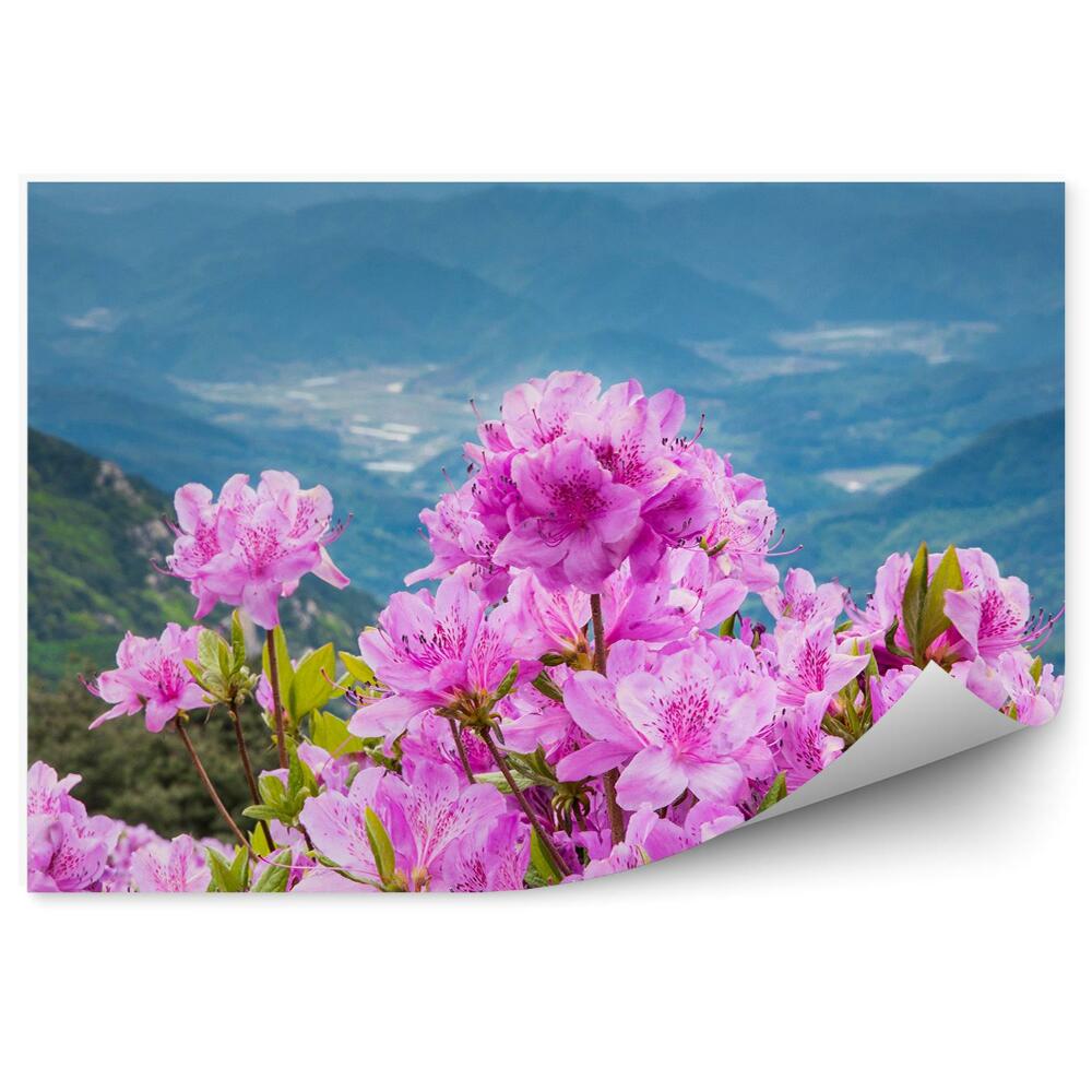 Poszter tapéta Rhododendron virág a háttérben egy hegyi táj