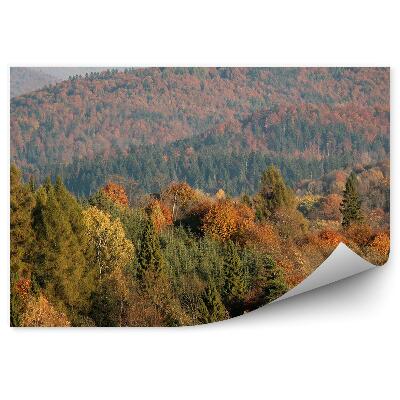Öntapadós fotótapéta Őszi erdő fák légi felvétel