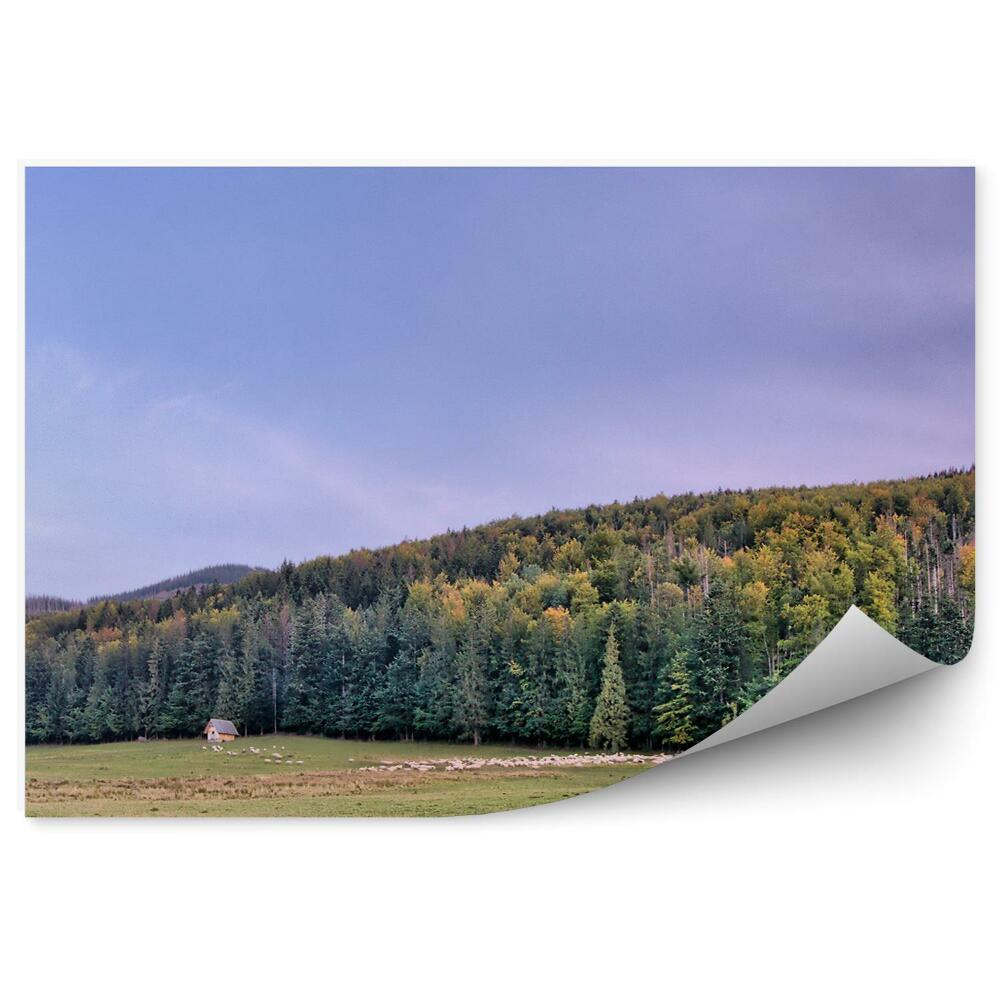 Öntapadós fotótapéta falra Panoráma a Tátra városára, tűlevelű fák, fű, nyaralók, égbolt