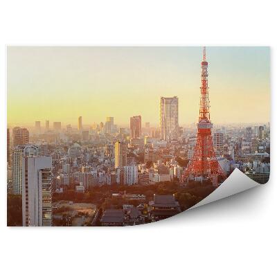 Poszter tapéta légi felvétel Tokió Japánra