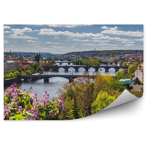 Öntapadós fotótapéta Városi panoráma madártávlatból virágok bokrok