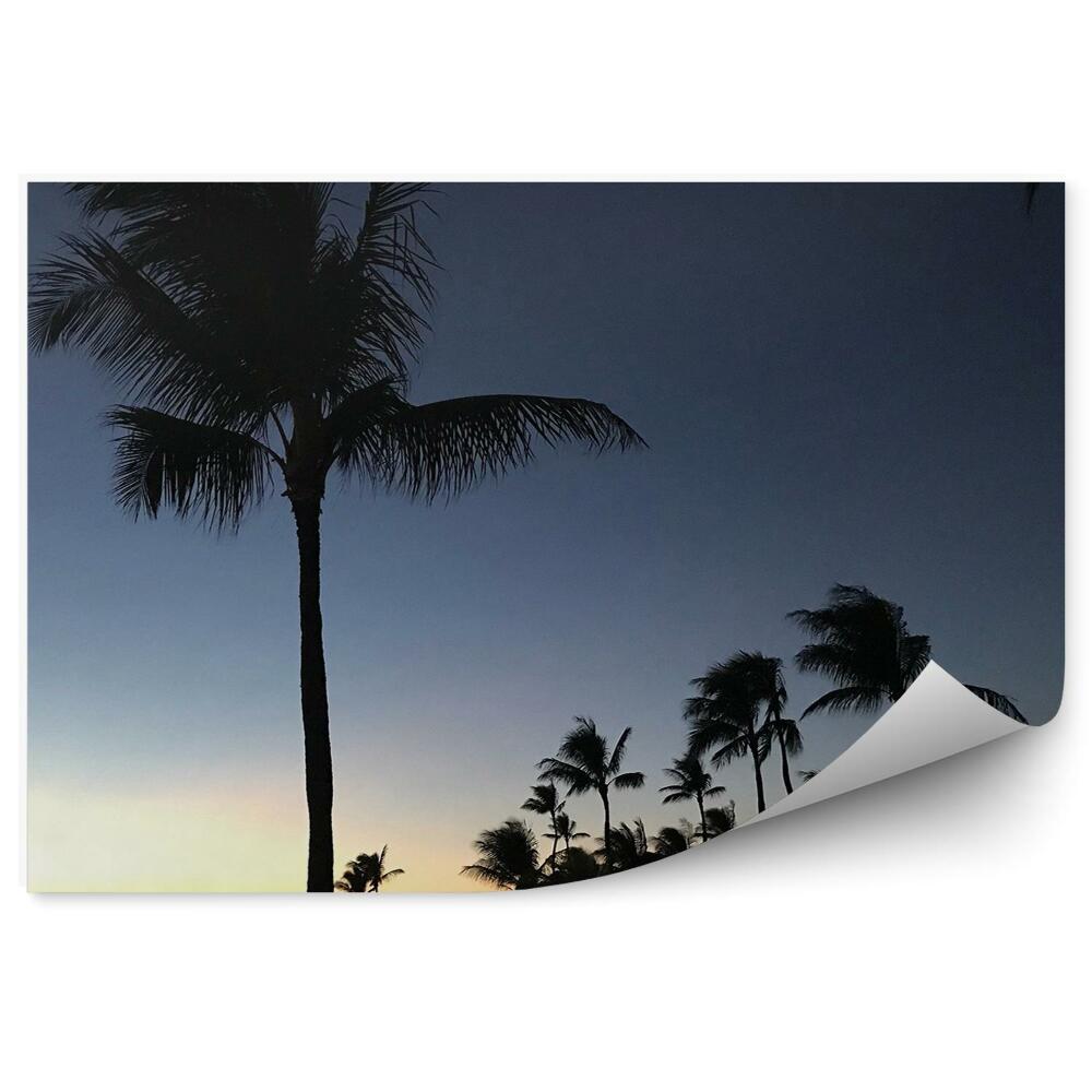 Poszter tapéta naplemente pálmafák óceán hawaii