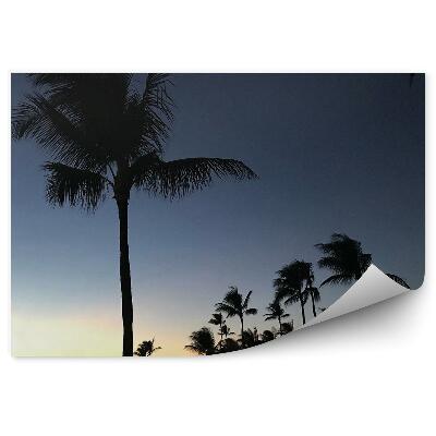 Poszter tapéta naplemente pálmafák óceán hawaii