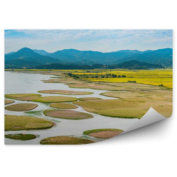 Fali poszter tapéta Suncheon Man Bay természeti táj