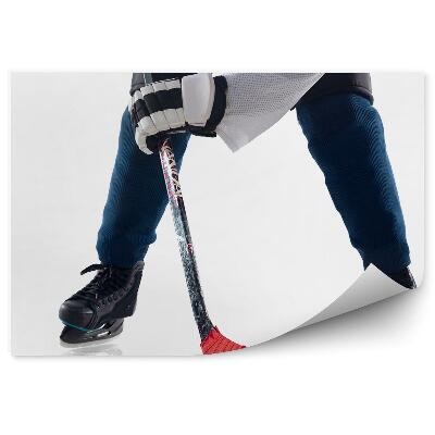 Fotótapéta Jégkorongozó jégkorong korong