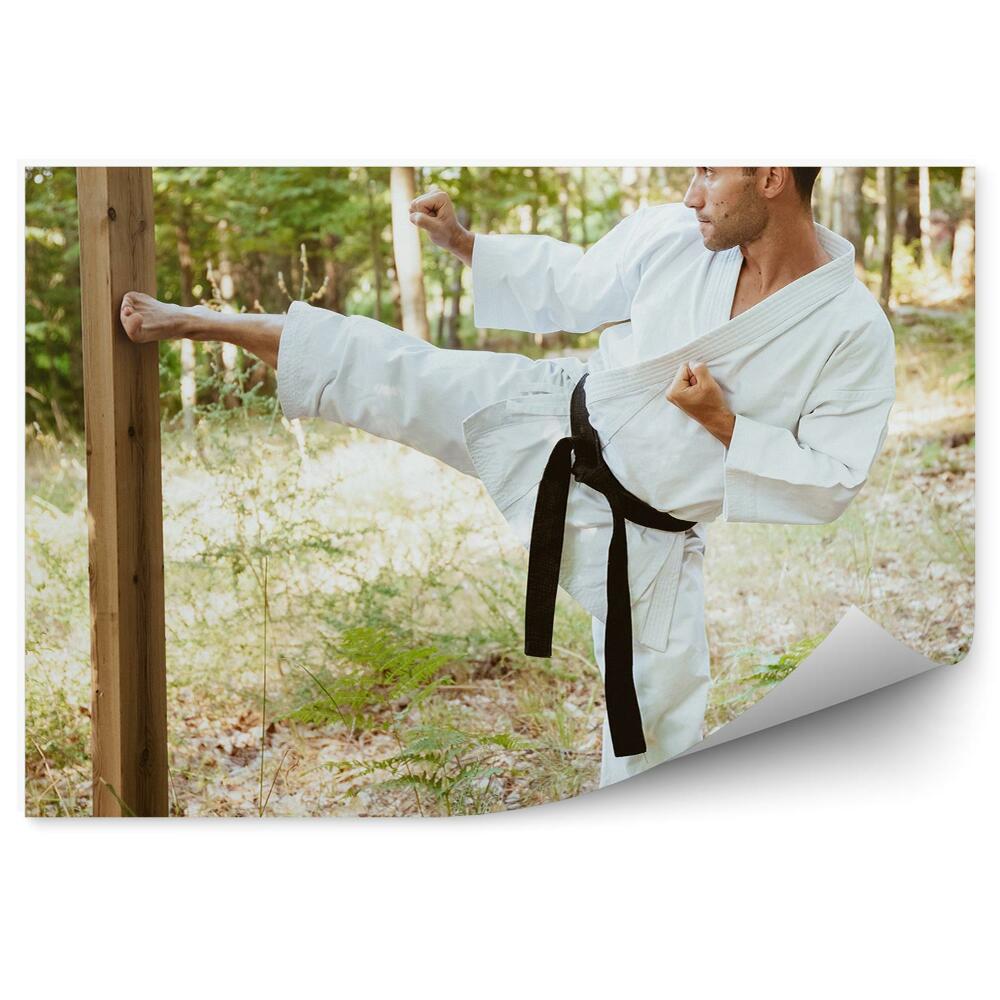Fotótapéta Karate képzés fa erdő föld
