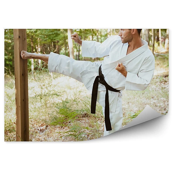 Fotótapéta Karate képzés fa erdő föld