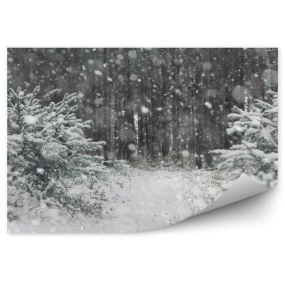 Öntapadó fotótapéta Téli erdő