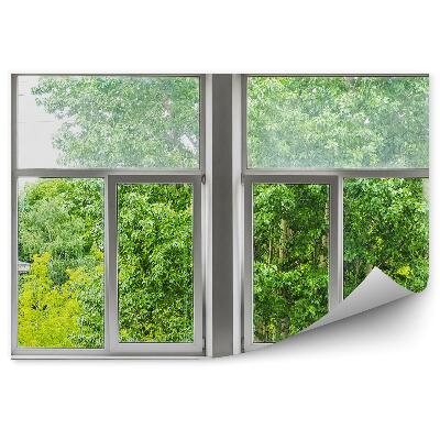 Fotótapéta Zöld fák kilátással az apartman ablakán