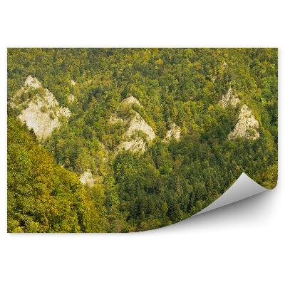 Öntapadó fotótapéta Rafting a Dunajec folyón