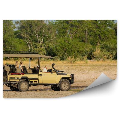 Poszter tapéta Oroszlánok a waterhole terepjáró szafari autónál