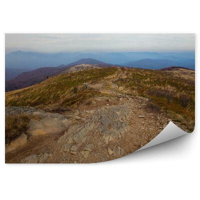 Öntapadós fotótapéta Hegyek út útvonal kövek növényzet ősz