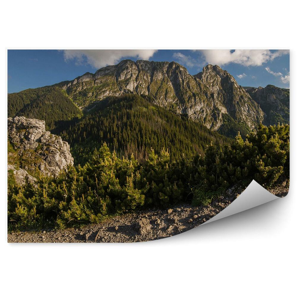 Öntapadós fotótapéta falra Giewont Tatry hegyek tűlevelű fák sziklák ég felhők
