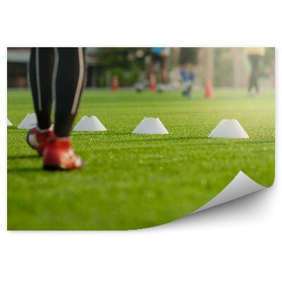 Fotótapéta Gyakorlatok a futballpályán