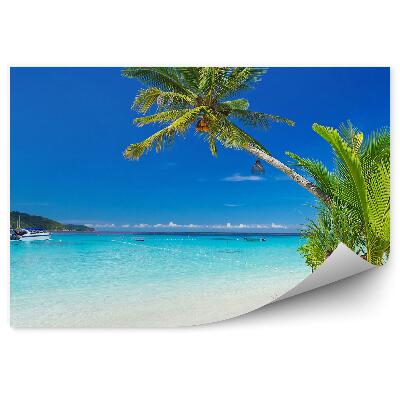 Poszter tapéta Pálmafák természet kék víz hajó