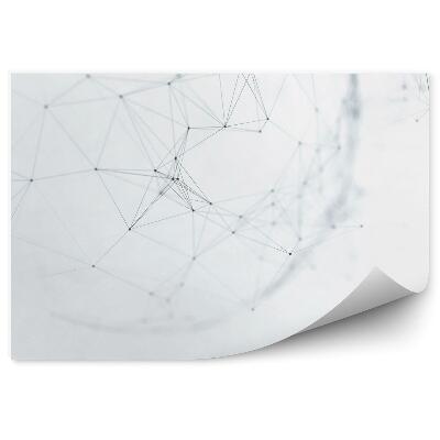 Öntapadós fotótapéta Absztrakt futurisztikus háló