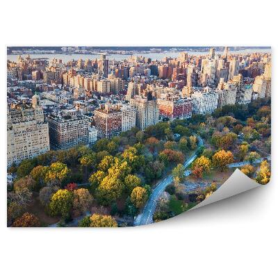 Fotótapéta Városi építészet fák park ősz