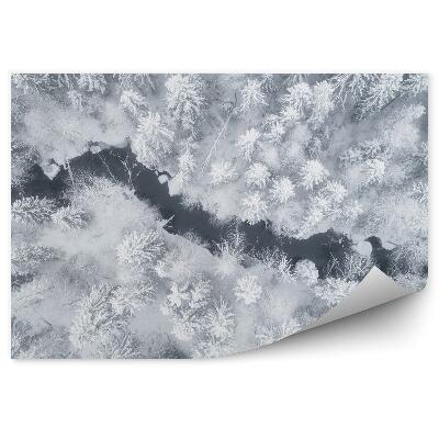 Öntapadós fotótapéta falra Téli erdőben folyó kilátás