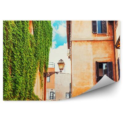 Öntapadó fotótapéta Természet ivy épületek építészeti város