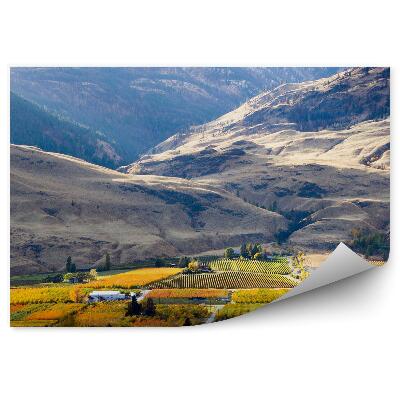 Öntapadó fotótapéta Hegyek mezők házak