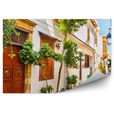 Öntapadós fotótapéta Utcai növények fehérben, Görögország