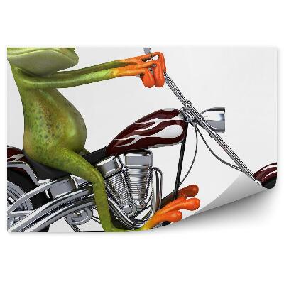 Fotótapéta Béka a helikopteren