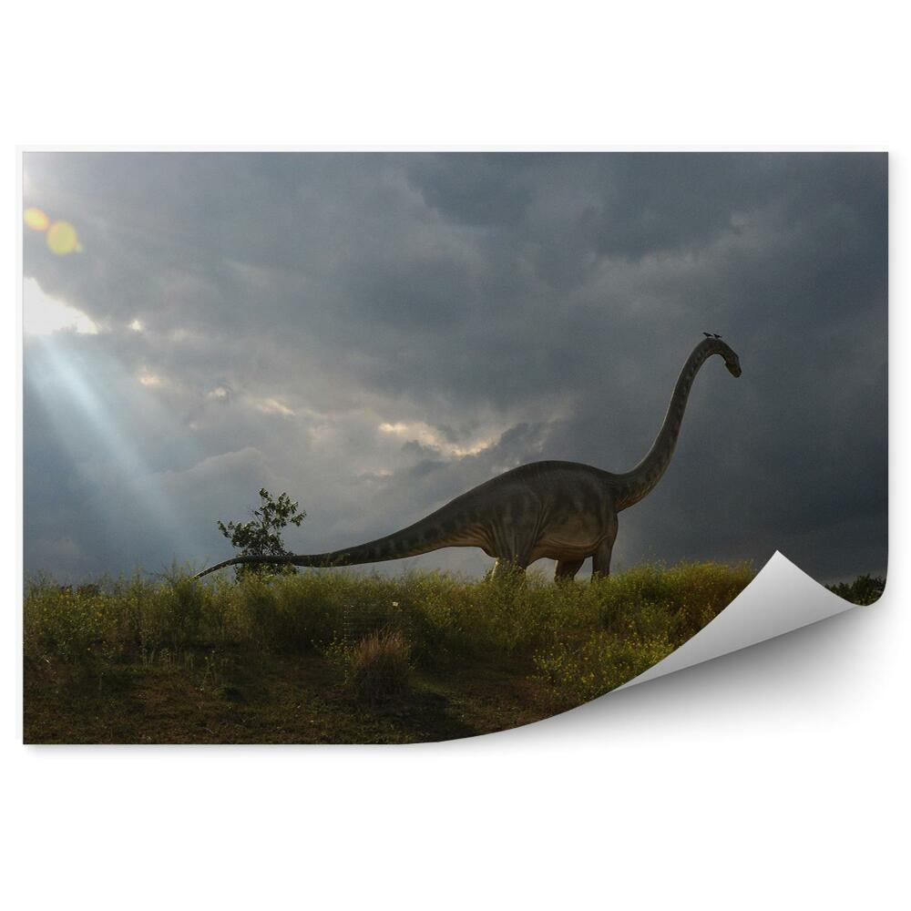 Fotótapéta Dinoszaurusz fű ég felhők