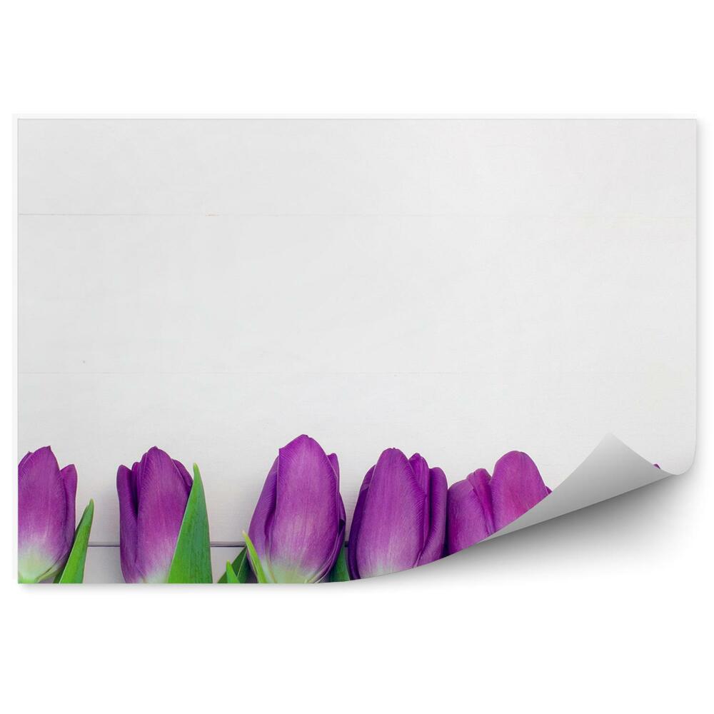 Poszter tapéta Lila tulipánok