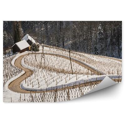 Modern fotótapéta Téli hó út szív alakú természet