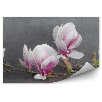 Fotótapéta Magnólia virágok beton háttér