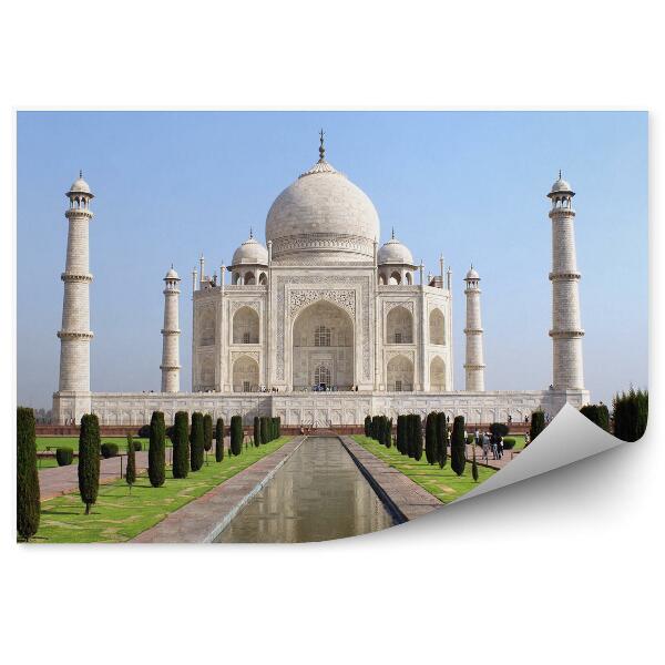 Modern fotótapéta Mauzóleum Taj Mahal bokrok természet