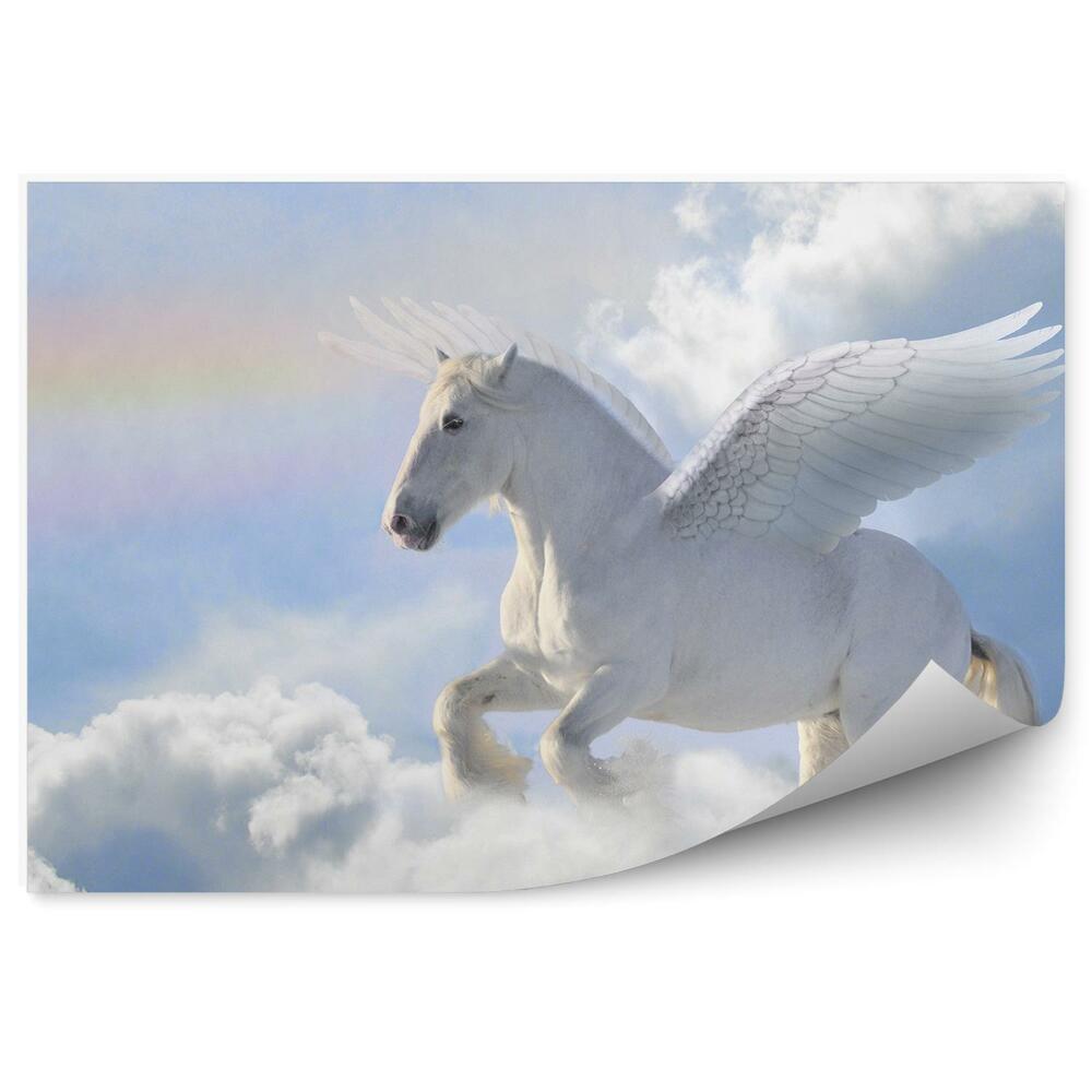 Öntapadós fotótapéta falra Pegasus ló égbolt felhők szivárvány