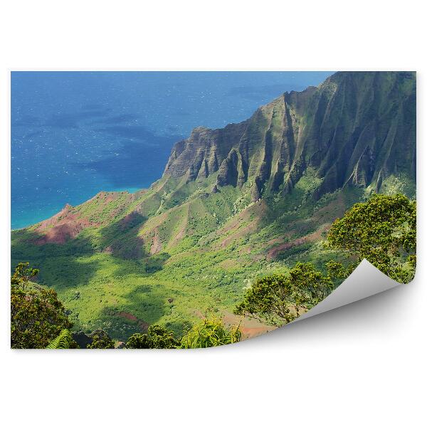 Poszter tapéta hegyek óceán növények természet hawaii
