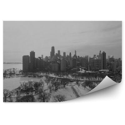 Poszter tapéta szépia felhőkarcolók autók fák út téli hó