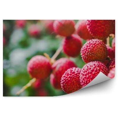 Öntapadós Fotótapéta Piros licsi gyümölcsfa levelei