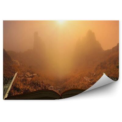 Öntapadó fotótapéta Fa könyv őszi fű naplemente