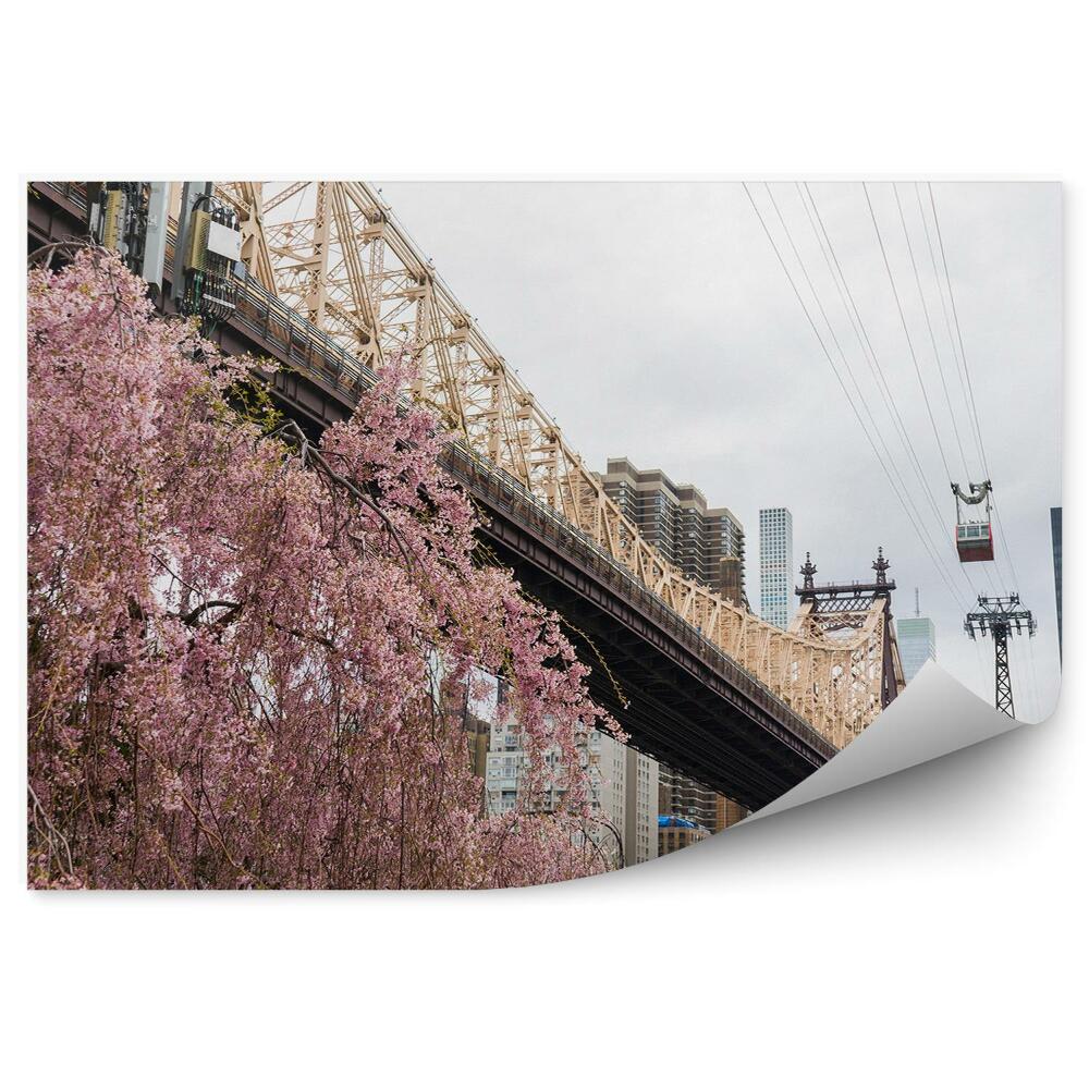 Fotótapéta felhőkarcolók út erdő fák folyó New York